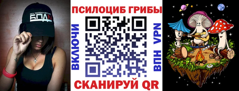 Галлюциногенные грибы Psilocybine cubensis  Купить  Пугачёв 