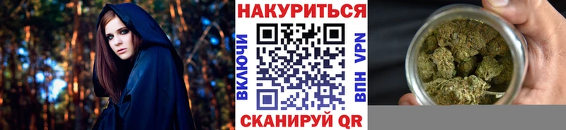 Купить где  Пугачёв  МАРИХУАНА сатива 